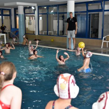 andrassyzola@gmail.com