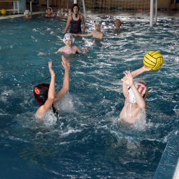 andrassyzola@gmail.com