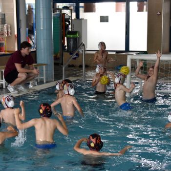 andrassyzola@gmail.com