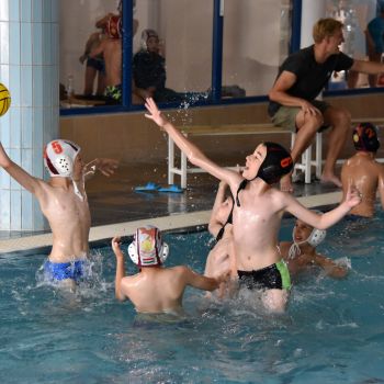 andrassyzola@gmail.com