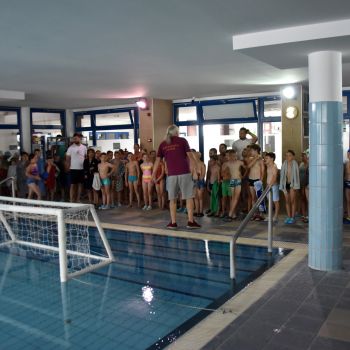 andrassyzola@gmail.com