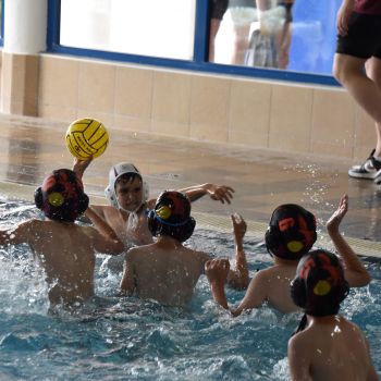 andrassyzola@gmail.com