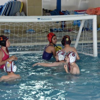 andrassyzola@gmail.com